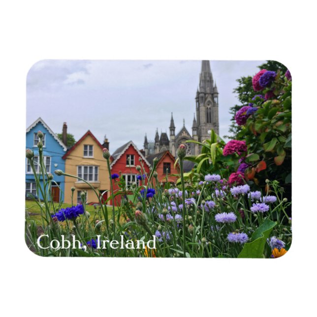 Cobh, Ireland Colorful Hydrangeas Magnet (Horisontell)