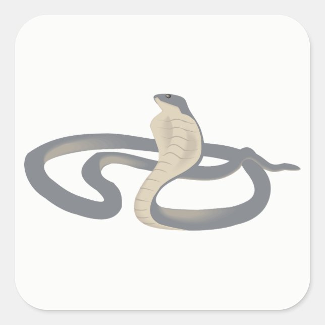 Cobra Fyrkantigt Klistermärke (Framsida)