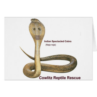 Cobra Hälsningskort