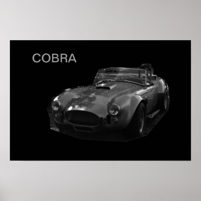 COBRA POSTER (Framsidan)
