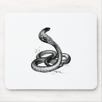 Cobra Snake Silhouette Musmatta