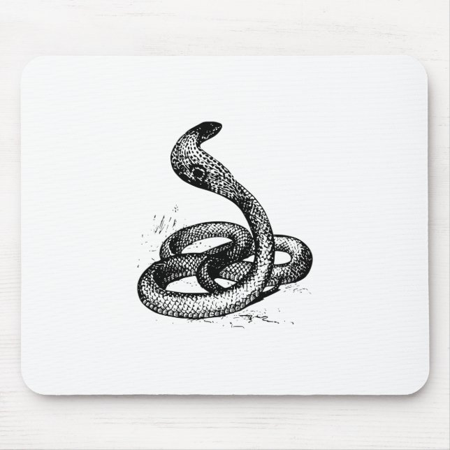 Cobra Snake Silhouette Musmatta (Framsidan)