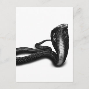 Cobra Vykort