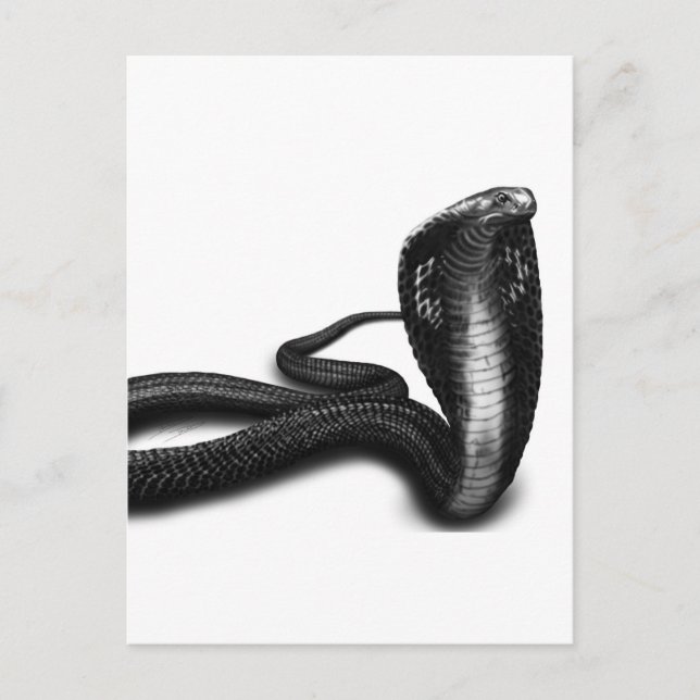 Cobra Vykort (Framsida)