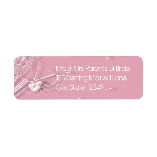 Cobwebs- och White Spiders-etikett Returadress Etikett (Framsidan)