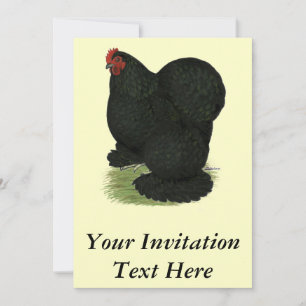 Cochin: Black Hen Inbjudningar