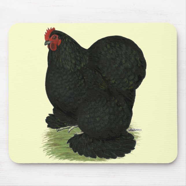 Cochin: Black Hen Musmatta (Framsidan)