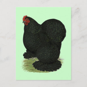 Cochin: Black Hen Vykort
