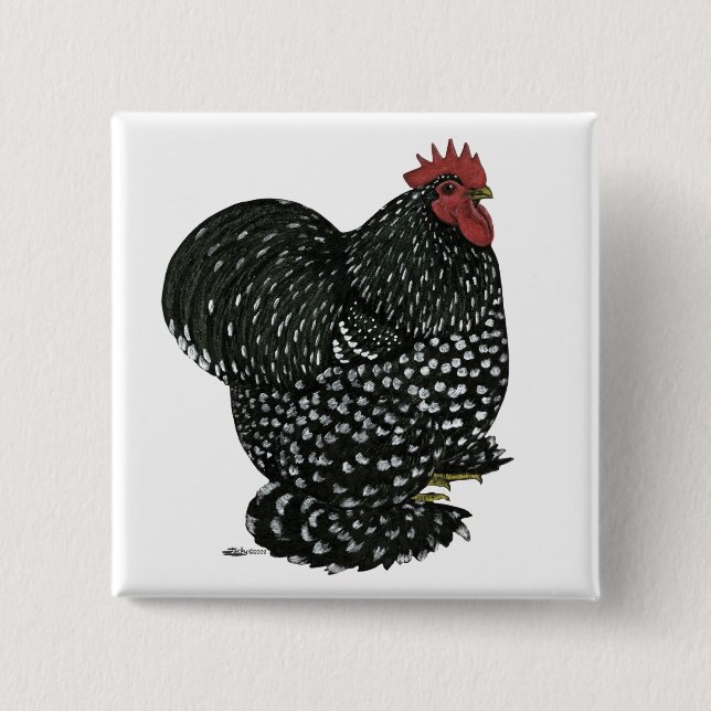 Cochin: Black Mottle Knapp (Framsida)