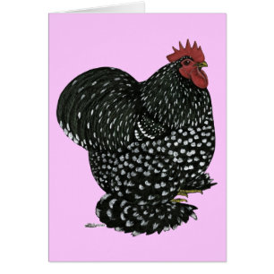 Cochin: Black Mottle OBS Kort