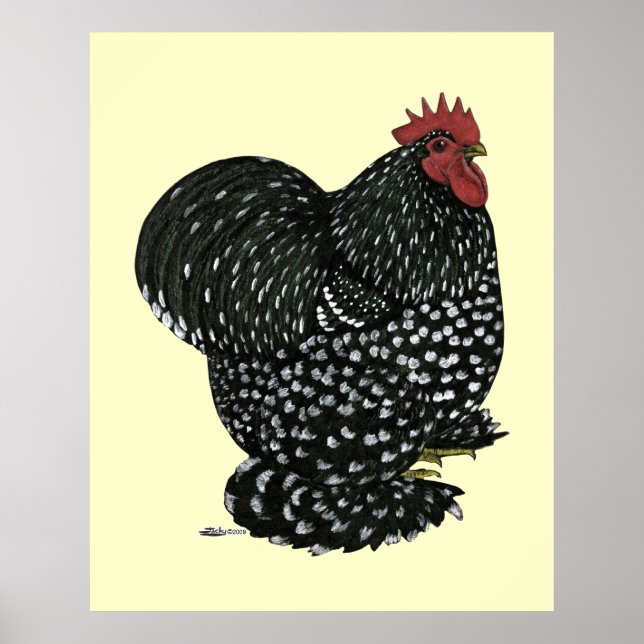 Cochin: Black Mottle Poster (Framsidan)