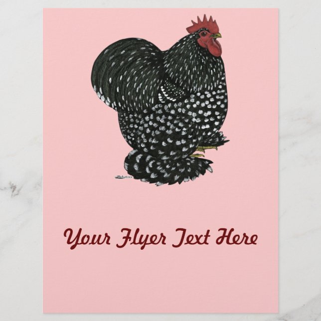 Cochin: Black Mottle Reklamblad (Framsidan)