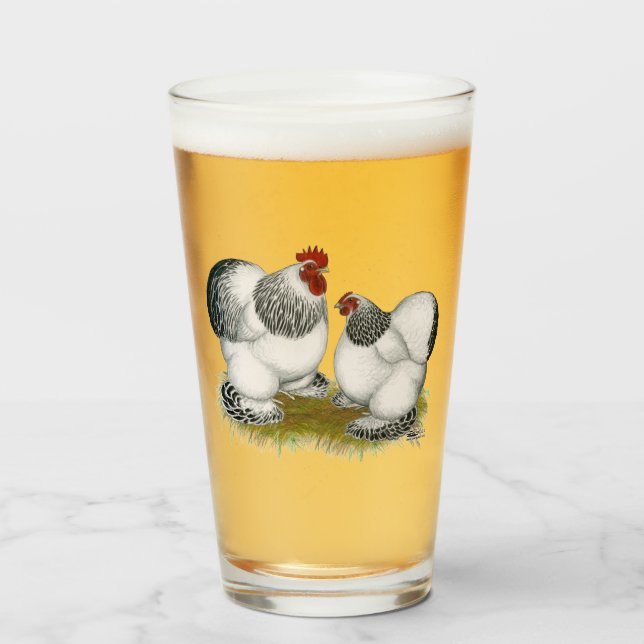 Cochin Columbian Bantams Glaskopp (Framsida fylld)