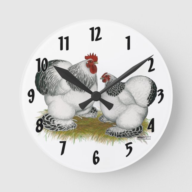 Cochin Columbian Bantams Rund Klocka (Framsida)