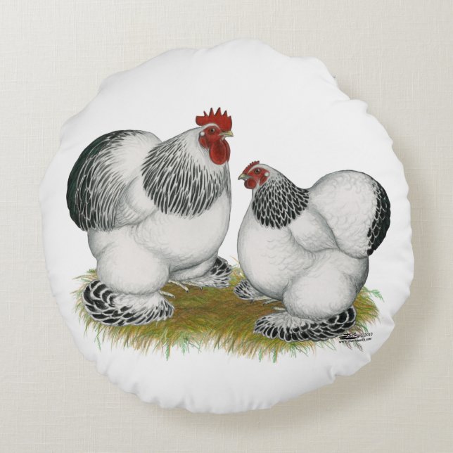 Cochin Columbian Bantams Rund Kudde (Baksidan)