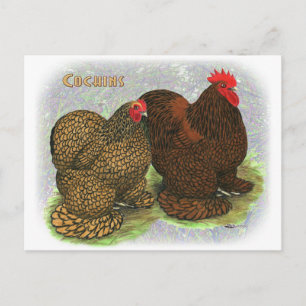 Cochin: Golden-laced2 Vykort