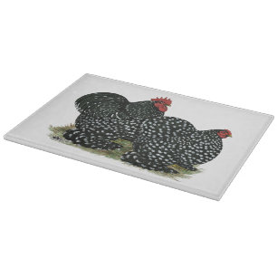 Cochin Mottled Chickens