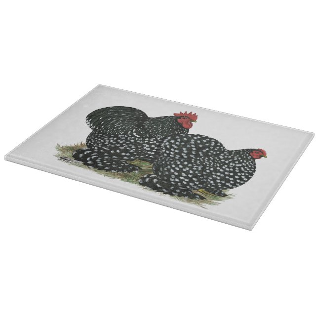 Cochin Mottled Chickens (Hörn)