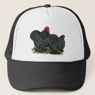 Cochin Mottled Chickens Keps