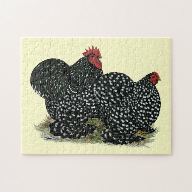 Cochin Mottled Chickens Pussel (Horisontell)