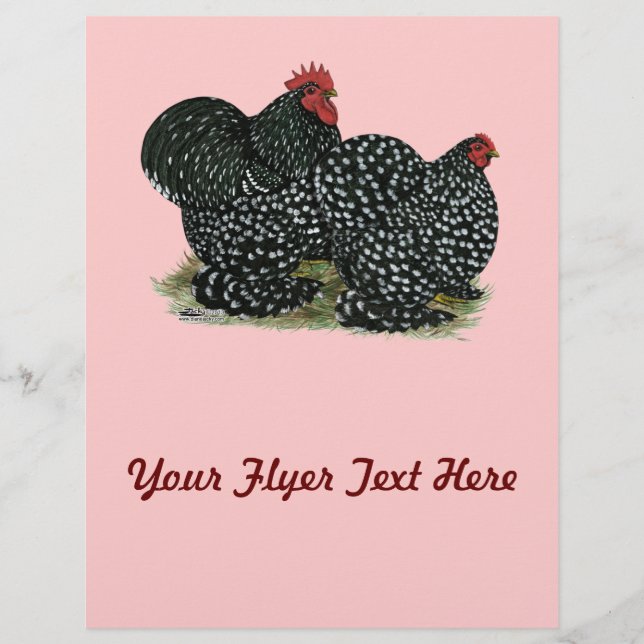 Cochin Mottled Chickens Reklamblad (Framsidan)