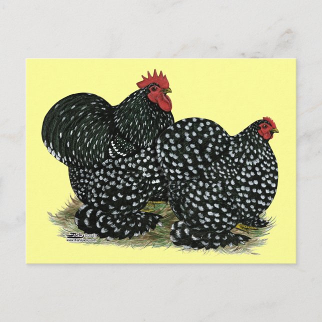Cochin Mottled Chickens Vykort (Framsida)