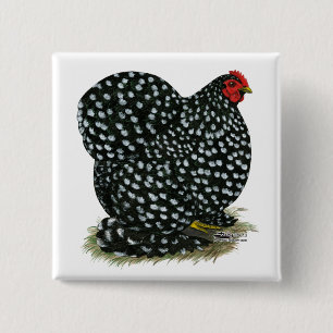 Cochin Mottled Hen Knapp