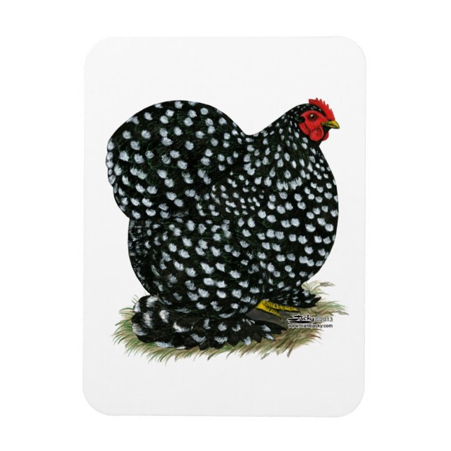 Cochin Mottled Hen Magnet (Vertikal)