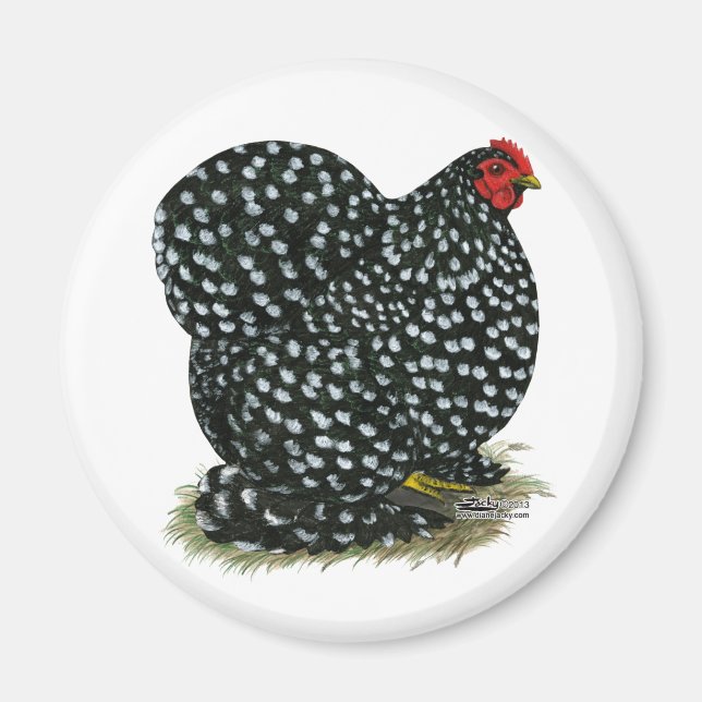 Cochin Mottled Hen Magnet (Framsidan)