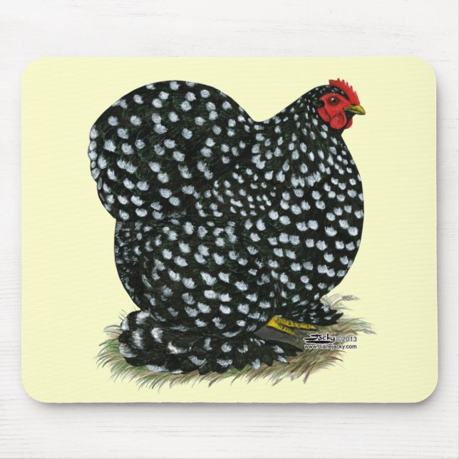 Cochin Mottled Hen Musmatta (Framsidan)