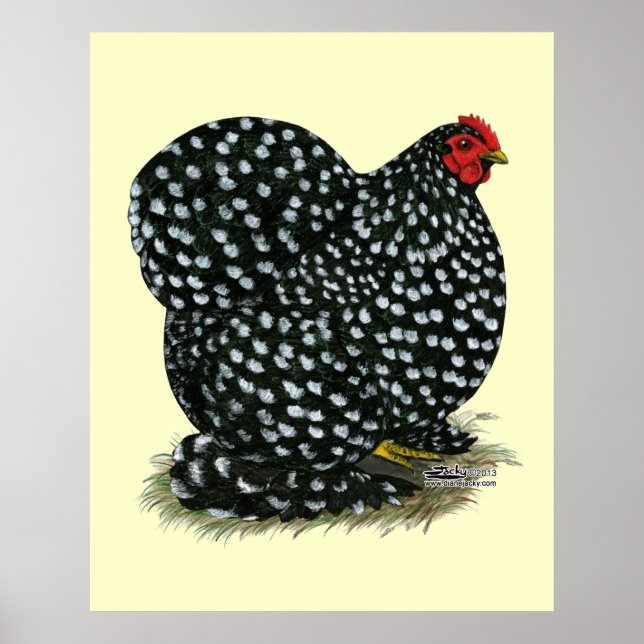 Cochin Mottled Hen Poster (Framsidan)