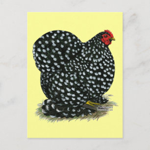 Cochin Mottled Hen Vykort