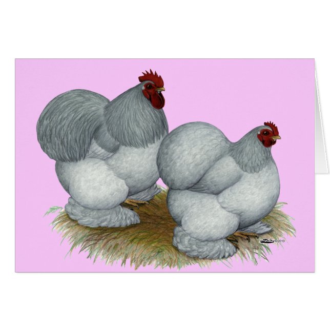 Cochin: Self Blue OBS Kort (Framsidan Horizontal)