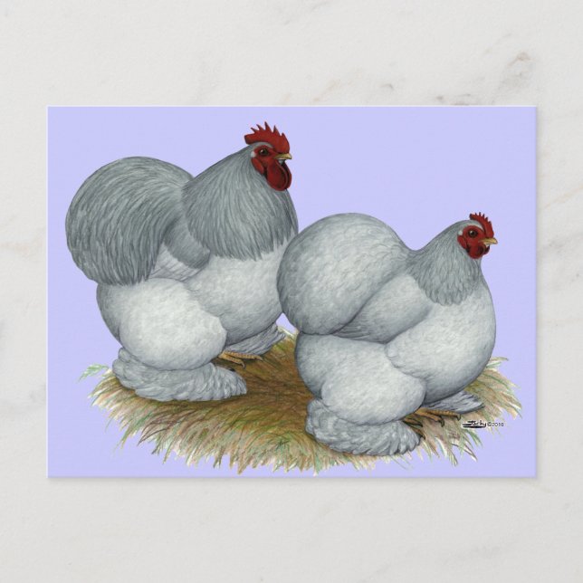 Cochin:  Self Blue Vykort (Framsida)