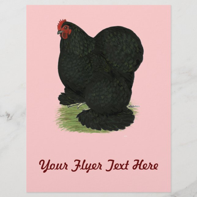 Cochin: Svart höna Reklamblad (Framsidan)