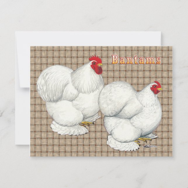 Cochin: White Bantams (Framsida)