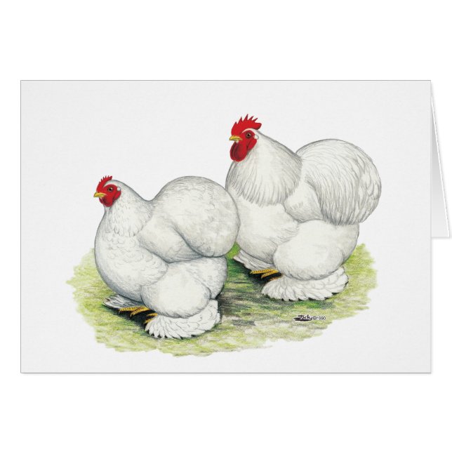 Cochin: White Bantams Hälsningskort (Framsidan Horizontal)