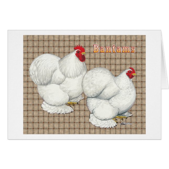 Cochin: White Bantams Hälsningskort (Framsidan Horizontal)
