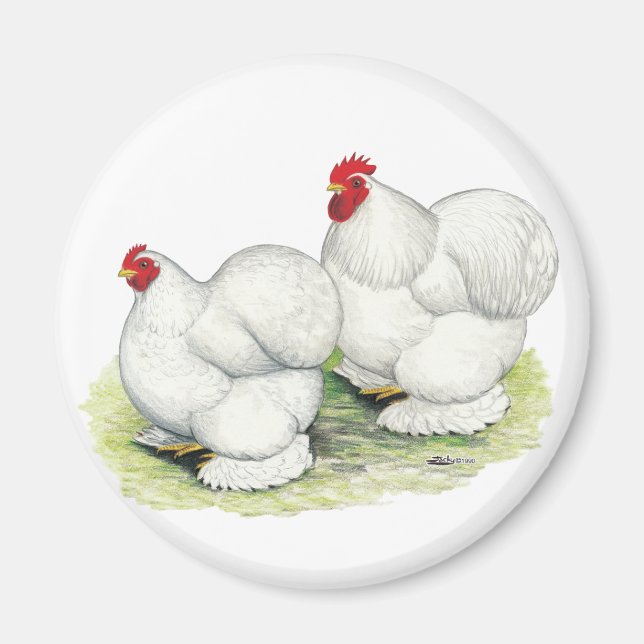 Cochin: White Bantams Magnet (Framsidan)