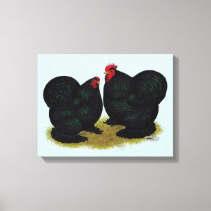 Cochins Black Bantam Pair Canvastryck