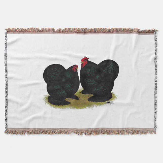 Cochins Black Bantam Pair Filt (Framsidan)