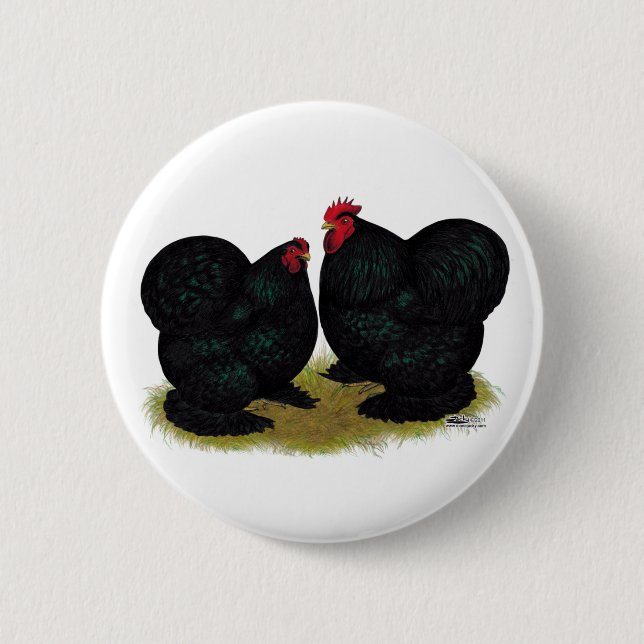 Cochins Black Bantam Pair Knapp (Framsida)