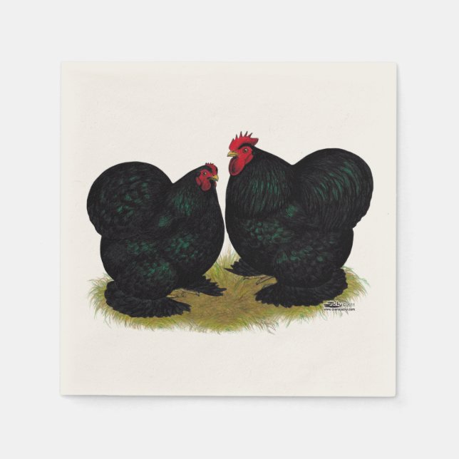 Cochins Black Bantam Pair Pappersservett (Framsidan)