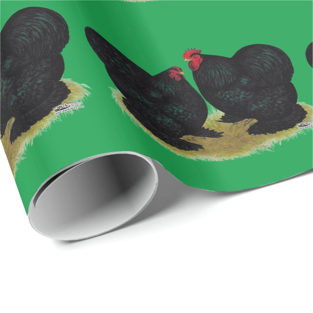 Cochins Black Bantam Pair Presentpapper (Rullad Hörn)