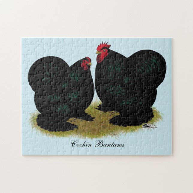 Cochins Black Bantam Pair Pussel (Horisontell)