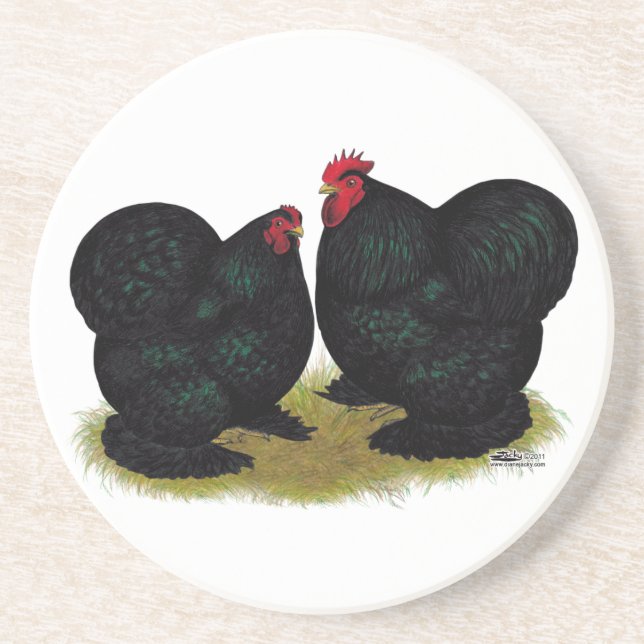 Cochins Black Bantam Pair Underlägg (Framsidan)
