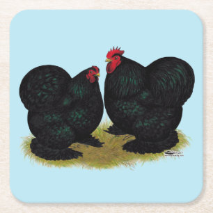 Cochins Black Bantam Pair Underlägg Papper Kvadrat