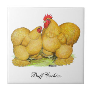 Cochins Buff Pair Kakelplatta