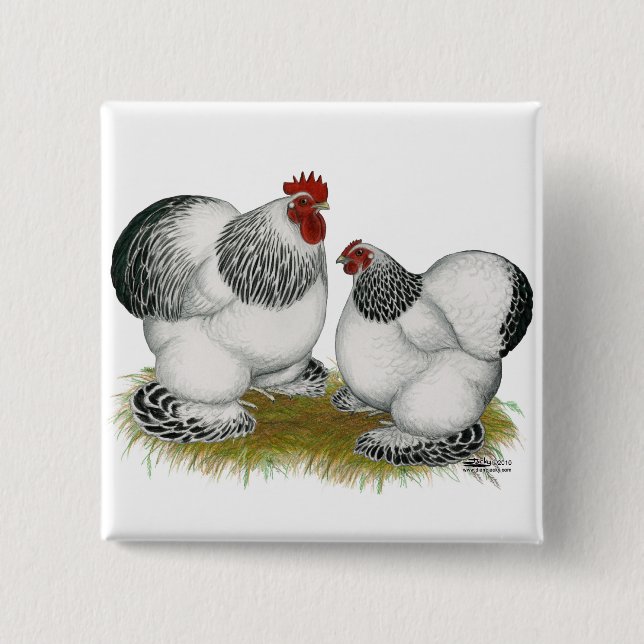 Cochins:  Columbian Bantams Knapp (Framsida)