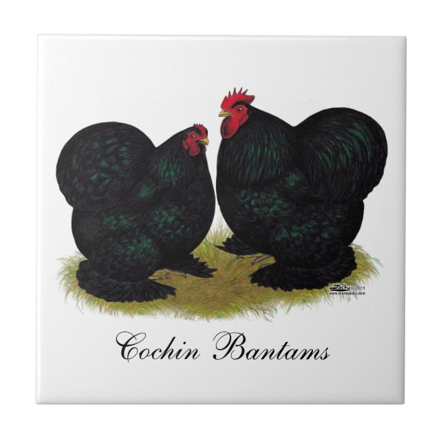 Cochins parar den svart bantamen kakelplatta (Framsidan)